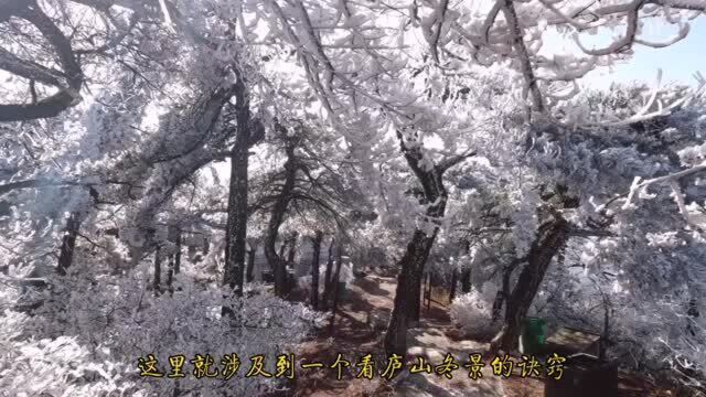 2020庐山冬季雪景首秀!匡山负雪,千岩一素!