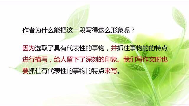 6年级上册部编版语文同步课(新):《夏天里的成长》第2部分