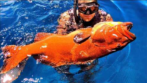 经典人文军事时 间:2021-10-28捕捞喀纳斯湖大红鱼,科学家拉起巨型大