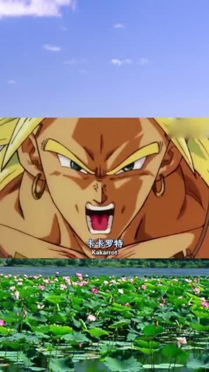 七龙珠布罗利错把悟天当成孙悟空二话不说上去就是一顿胖揍