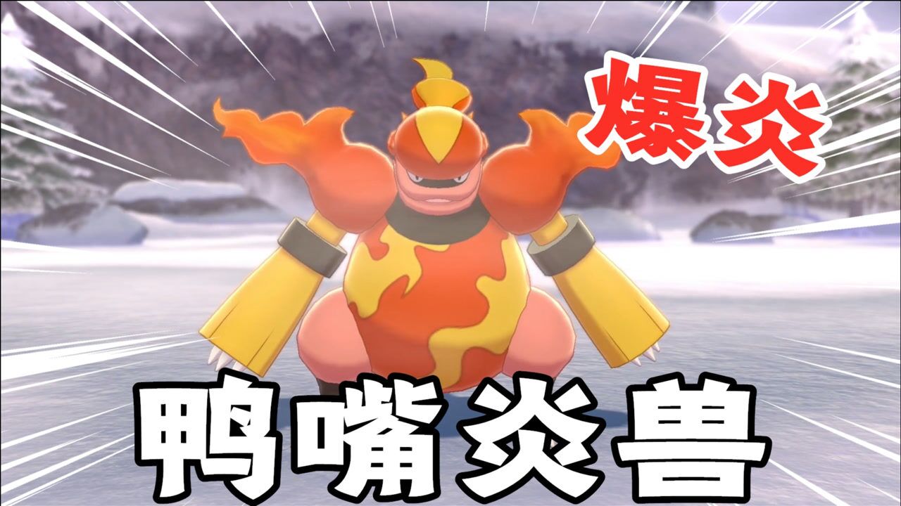 宝可梦剑盾:发现爆炎宝可梦,收服鸭嘴火兽的进化体鸭嘴炎兽