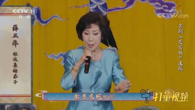 薛亚萍演绎京剧《楚宫恨》,唱腔极具张派神韵,味正儿