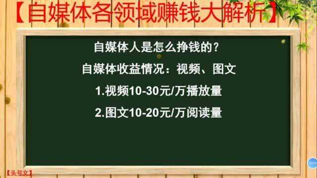 195、自媒体人是怎么挣钱的? 自媒体收益情况:视频、图文