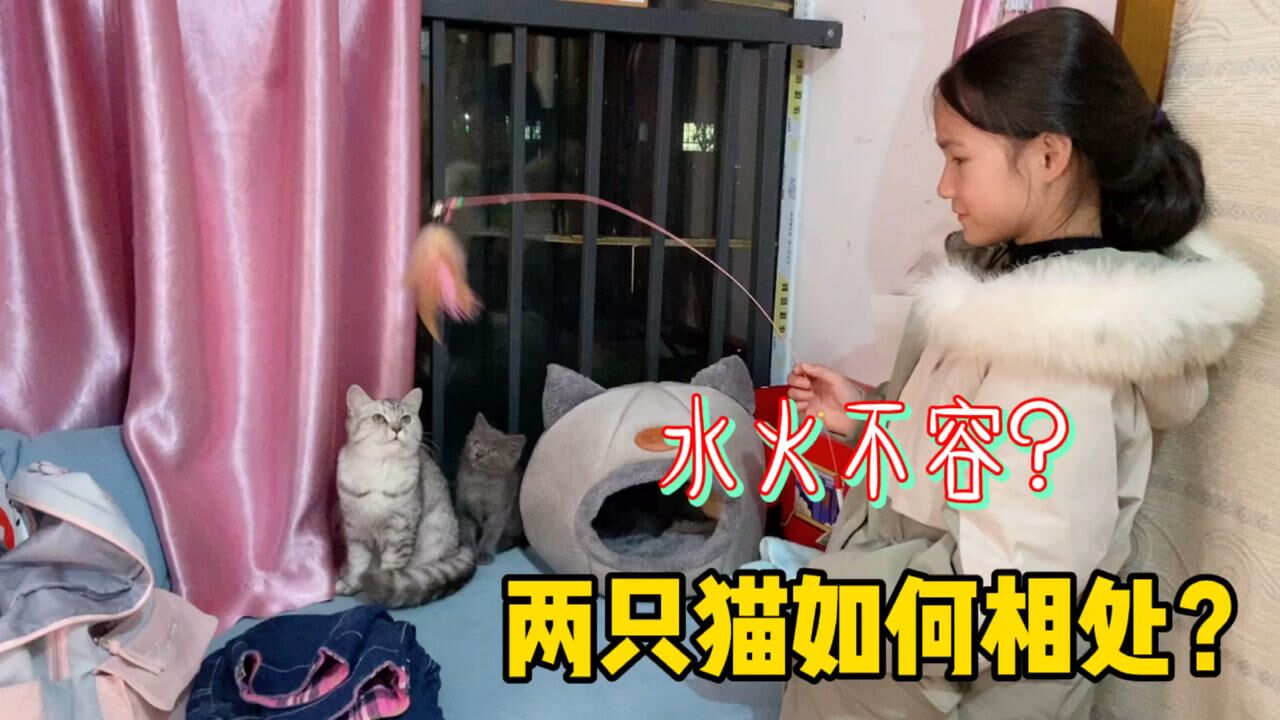 小娜子和妈妈模仿两只猫打架大家看看学得像不像太搞笑了