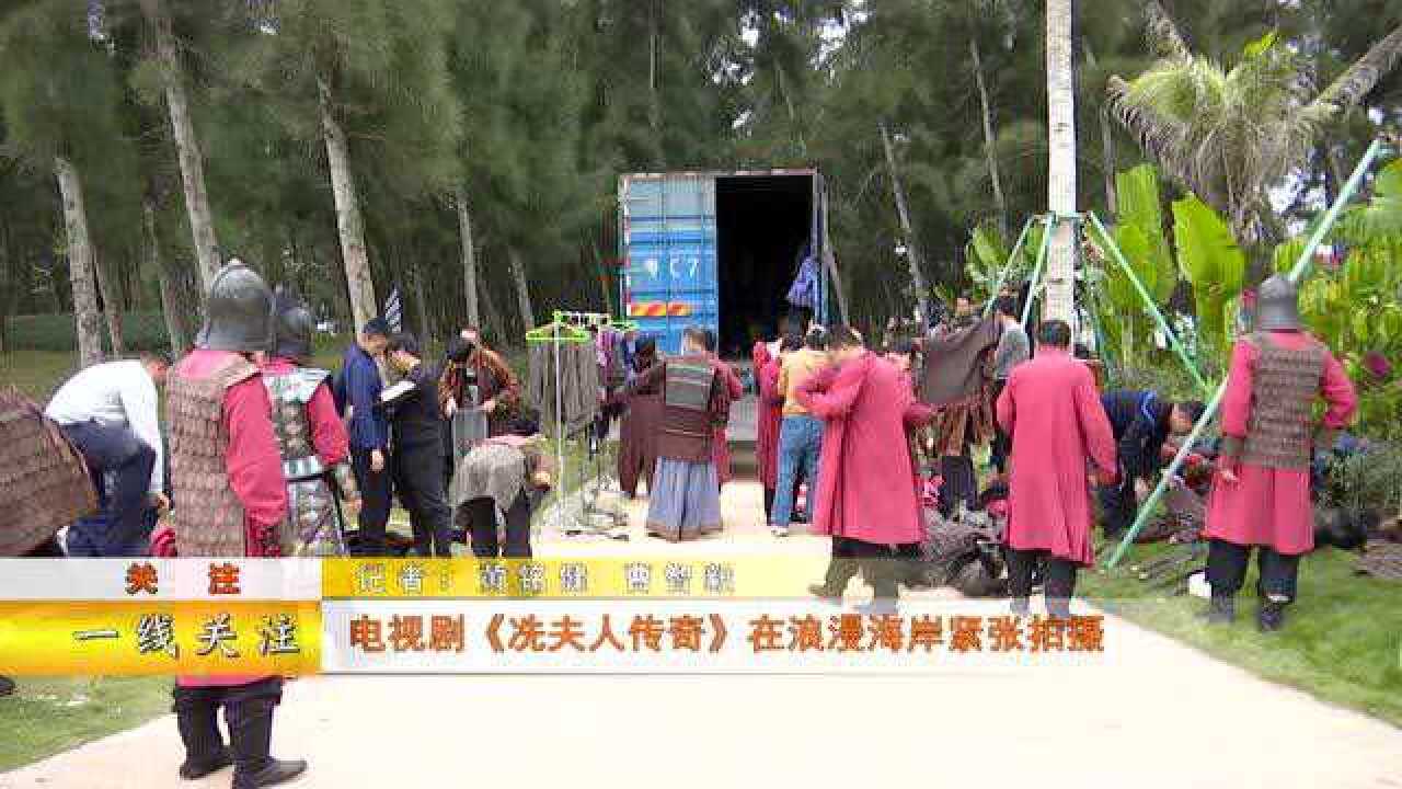 电视剧冼夫人传奇