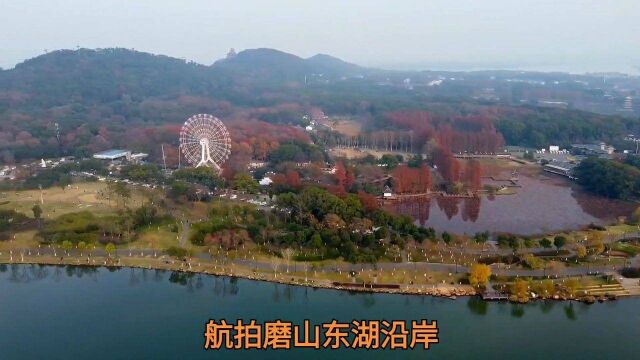 航拍磨山景区东湖沿岸 武汉东湖风景区磨山景区,从梅园到磨山索道东湖沿岸,是东湖绿道重要部分.@武汉市文化和旅游局