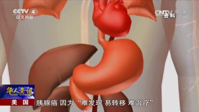 肽小分子肽科然肽视频:热烈庆祝小分子肽在治疗胰腺癌领域获得重大突破!