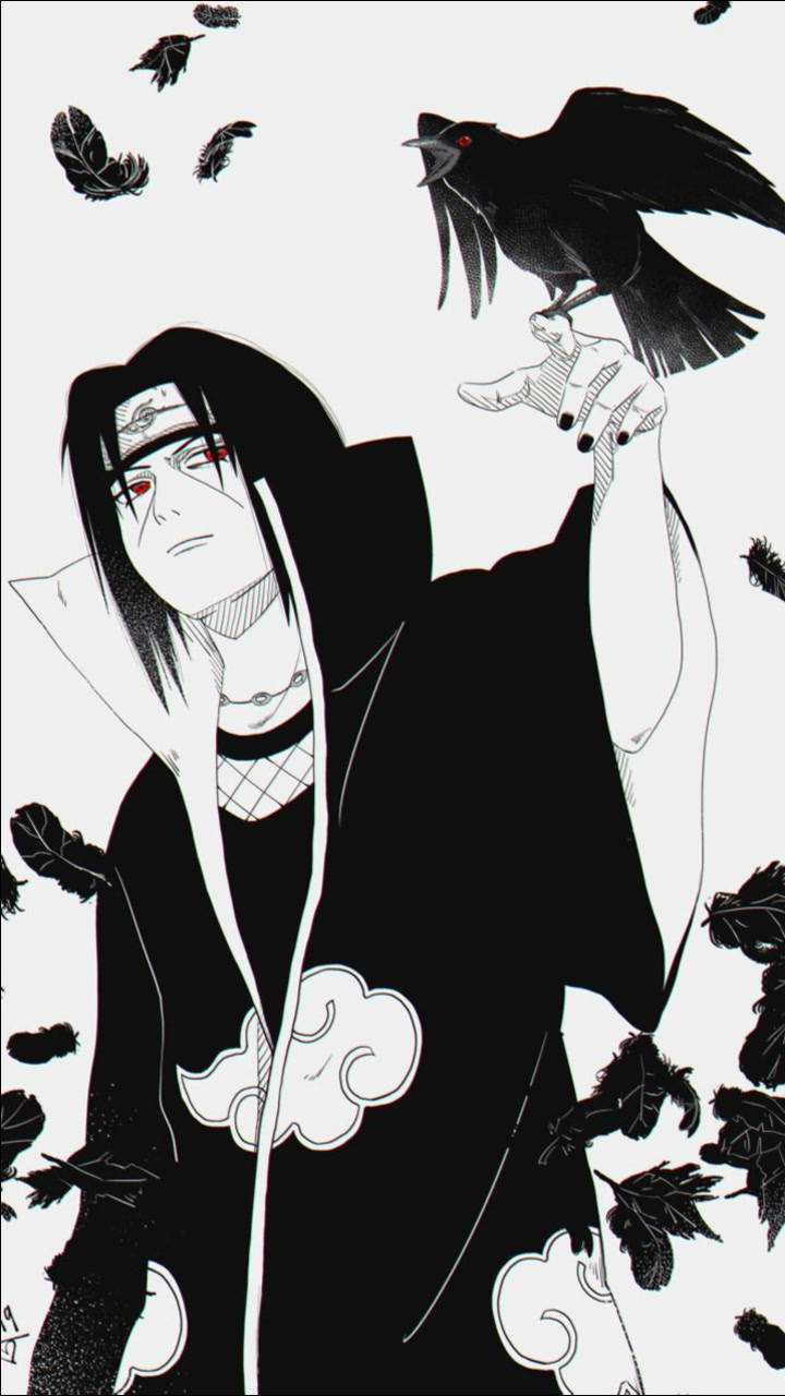 你是不是和我一样佐鼬不分呢?现在分清楚了吗?