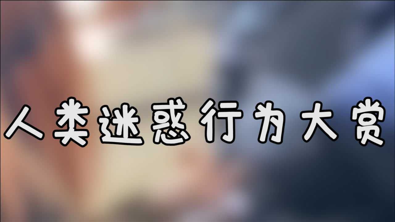 人类迷惑行为大赏