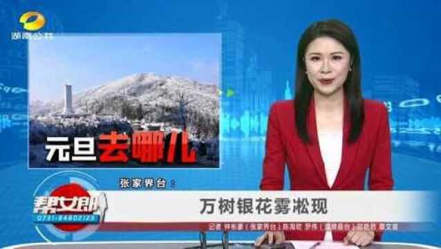 (元旦去哪儿)张家界台:万树银花雾凇现、永州双牌:阳明山重新开园