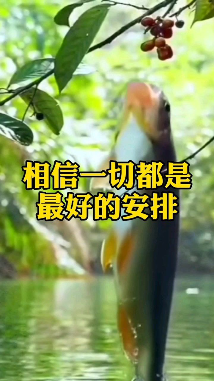 万事皆有因存在即合理相信一切都是最好的安排