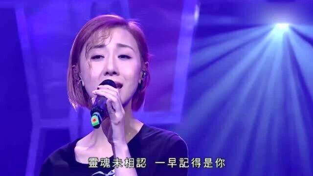 静静聆听,感受音乐魅力,泳儿《明日花》好听歌曲,现场版