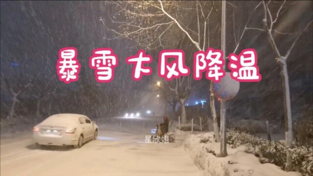 今冬文登第三次大雪又来了,伴随着大风降温,雪景还是很美哒