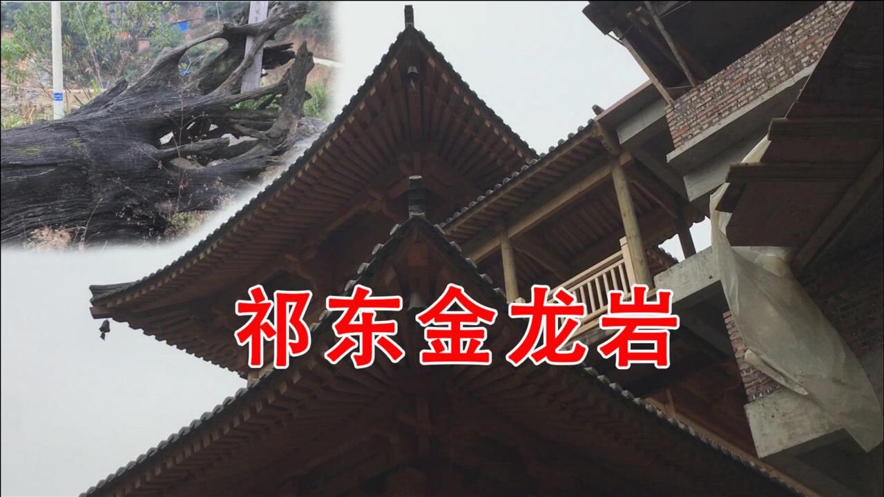 祁東農村姐弟探尋步雲橋鎮的金龍巖古寺,巖壁山腳偶見烏黑古沉木