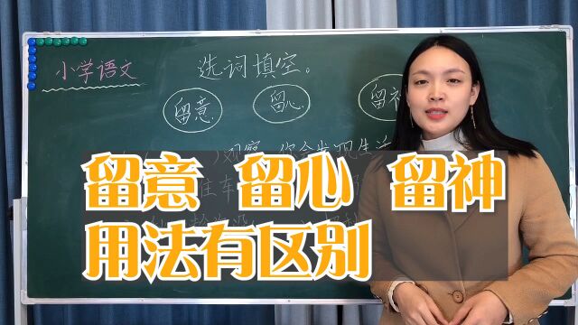 小学语文常考题型,选词填空题解析,近义词的区别与含义