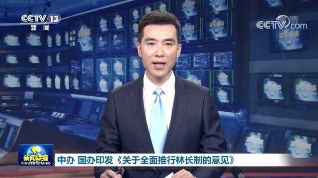 中办 国办印发《关于全面推行林长制的意见》