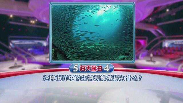 一站到底:这种壮观的海洋生物现象是什么