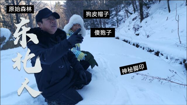 听许老师讲40年前林区故事,袍子野猪黑瞎子泛滥,拿枪都打不过来