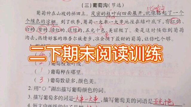 二年级上册期末复习阅读训练,写葡萄多的词是哪个,请你找一找