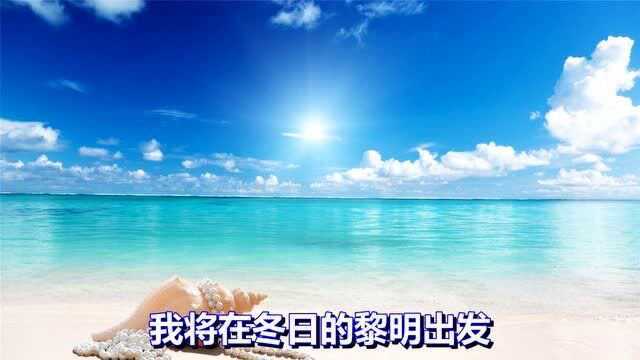 一首经典情歌《再见青春》