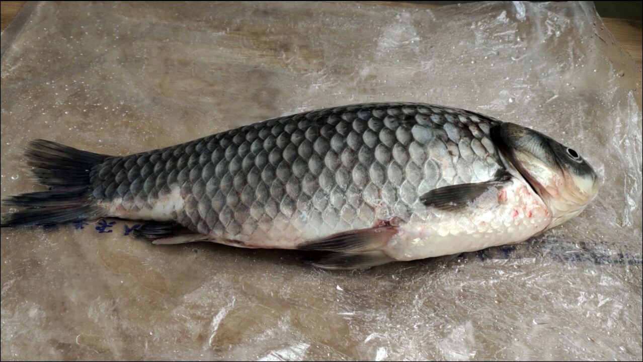 今天才知道刮鱼鳞原来只需要一个塑料袋鱼鳞不飞溅刮的真快