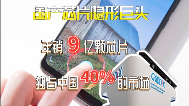 国产芯片隐形巨头,独占中国40%的市场,年销9亿颗芯片全球第一