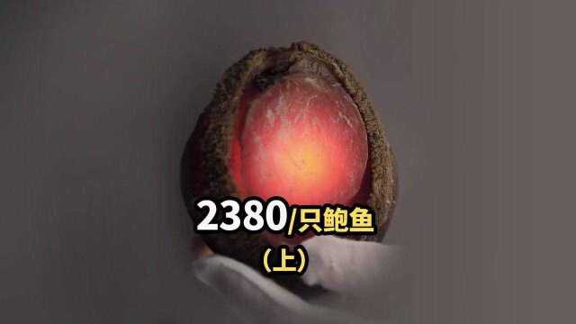 一只鲍鱼为啥能卖到2380元?#美食探店