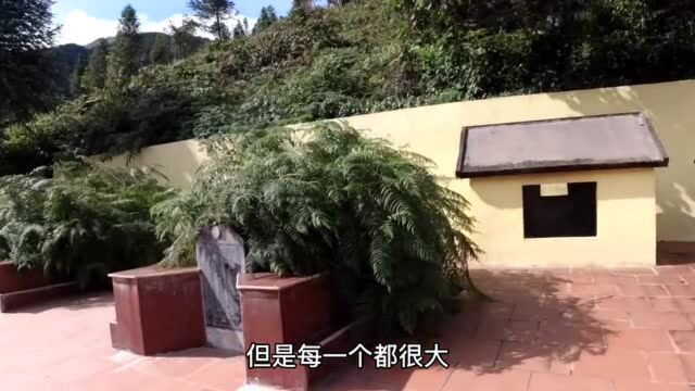 永远感谢中国烈士们,——在越南的中国烈士陵园之一