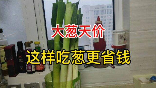 大葱价格暴涨,山东婆婆有妙招,制作大葱生长神器