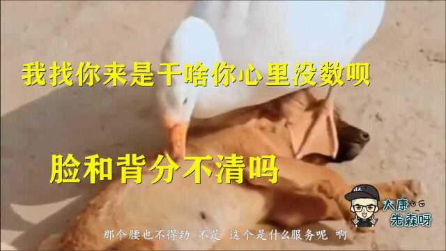 我找你来是干啥你心里没数呗,脸和背分不清吗