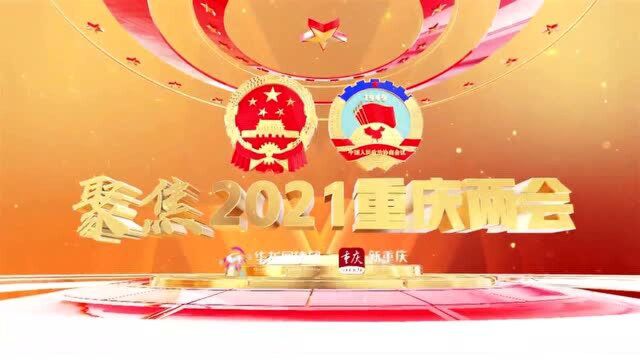 2021重庆两会“热词”“新词”“暖心词” 你最关心哪一个?