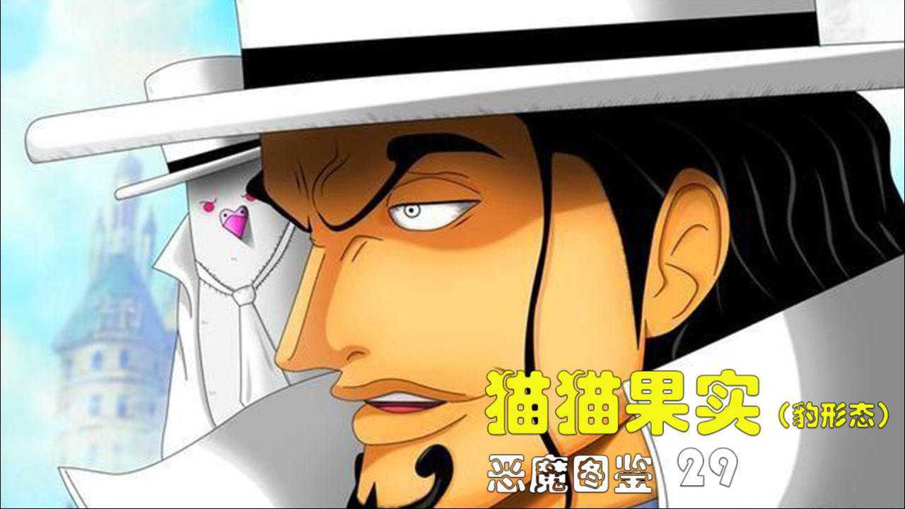 恶魔果实图鉴29猫猫果实(豹形态),能力者是cp9 800年来最强战士