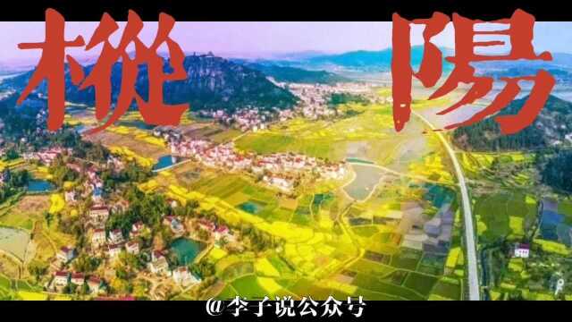 枞阳之美|李子说