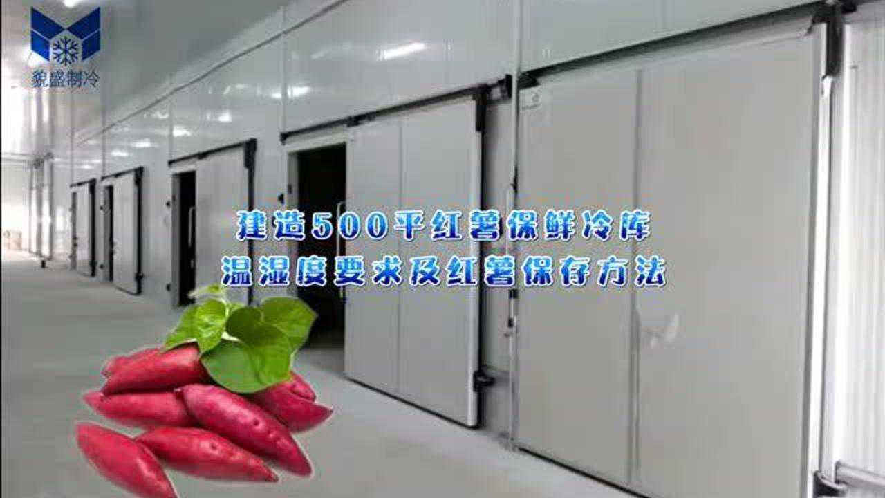 建造500平红薯保鲜冷库温湿度要求及红薯保存方法_腾讯视频