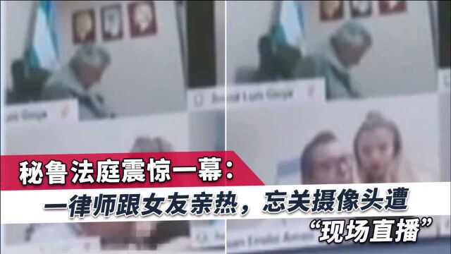 直播庭审中,秘鲁律师脱光衣服与女友亲热,法官与观众们大呼