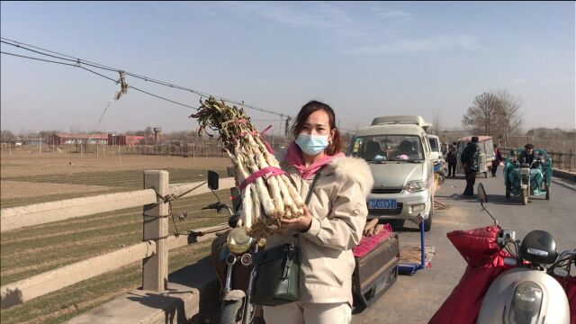 实拍河北集市大葱价格暴跌,看看1月30号多少钱一斤,听完别吃惊