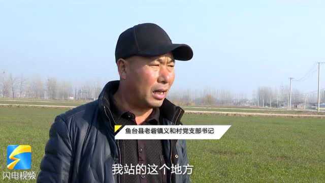 109秒丨鱼台积极开展工矿废弃地治理复垦 毁损土地变“良田”