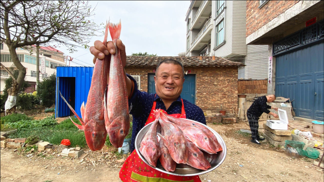 220买11斤国公鱼炖黄豆酱比石斑鱼还好吃下酒又下饭