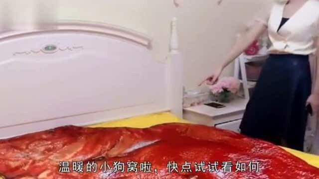 大姐,你铺的这床单也太养眼了吧!哈哈哈