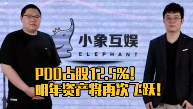 PDD资产将再次飞跃:小象互娱我占12.5%股份,是二股东!