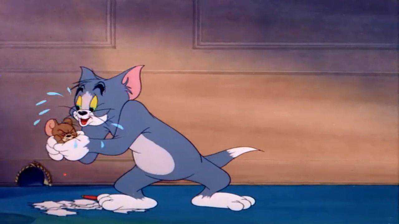 猫和老鼠汤姆猛亲杰瑞口水喷得到处都是