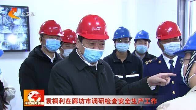 袁桐利在廊坊市调研检查安全生产工作