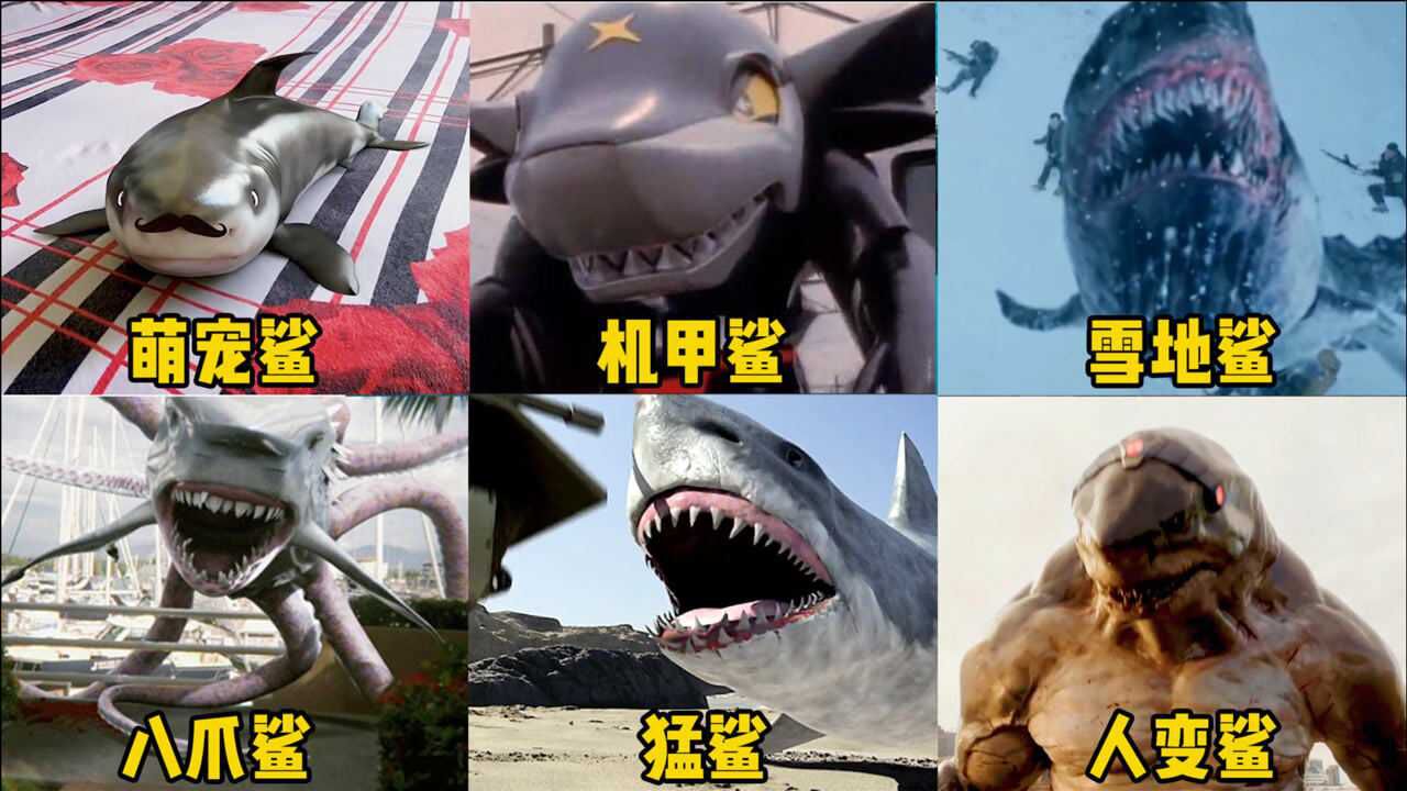 这六个版本的变异鲨鱼,你觉得哪个更厉害,机甲鲨能变形还会