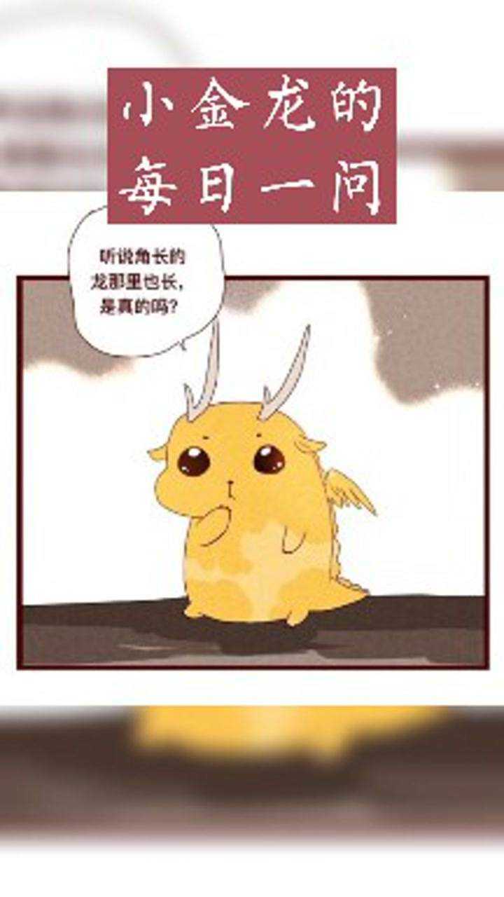 我的烛龙养父之小金龙的疑问