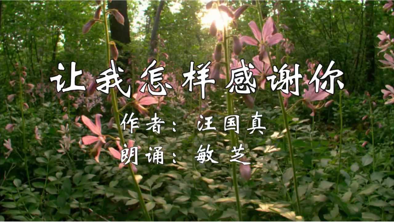 汪国真的《让我怎样感谢你》_腾讯视频