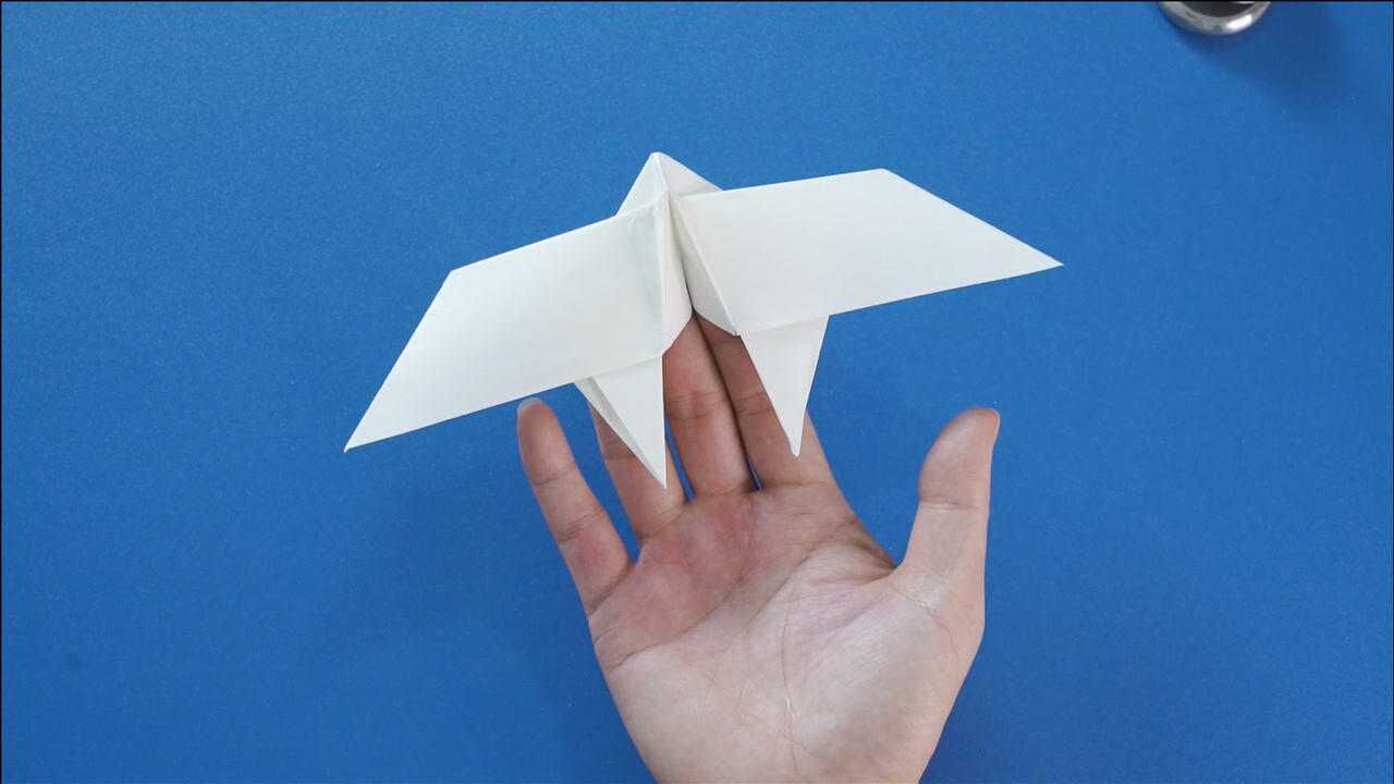 春风至,燕子归!可以飞的小燕仿真纸飞机,设计者-进击庸才