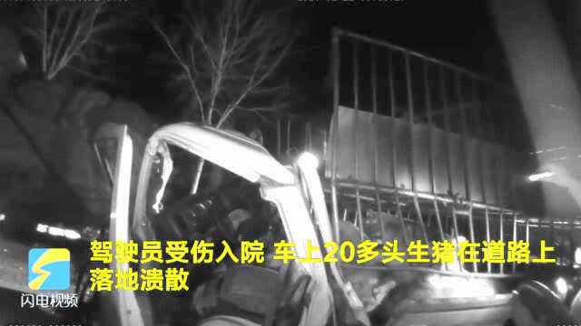 37秒|凌晨发生追尾 临沂交警对“二师兄”用上了手铐和警棍