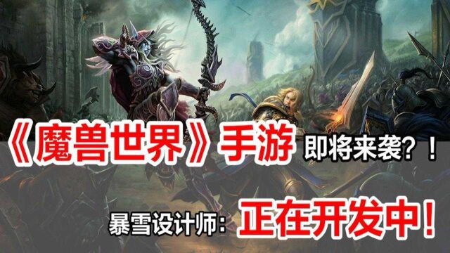 《魔兽世界》手游即将来袭?!暴雪设计师:正在开发中