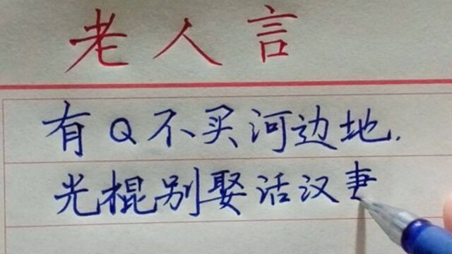 老人言:家母岳母都是妈,千万不要住一家!