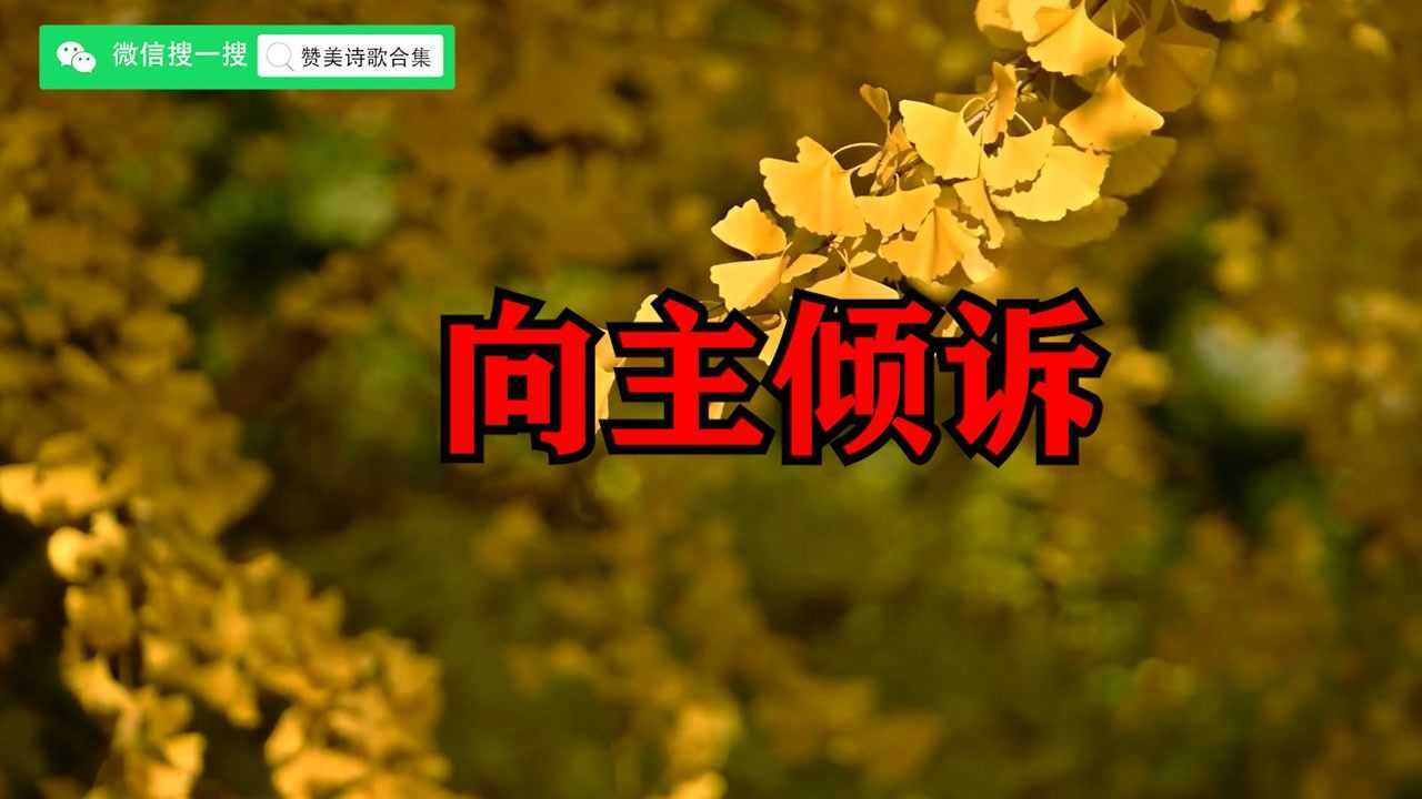 向主倾诉 ~_腾讯视频
